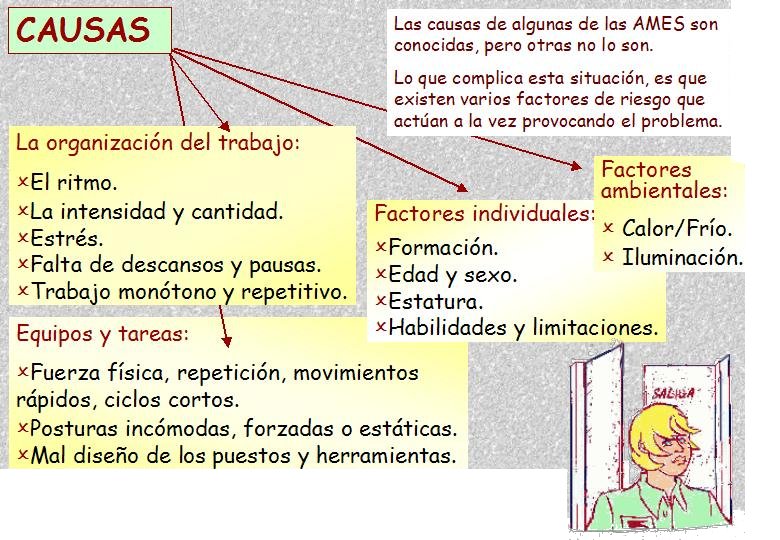 Diapositiva14