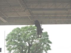 obra (959) PREVENCION RIESGOS LABORALES