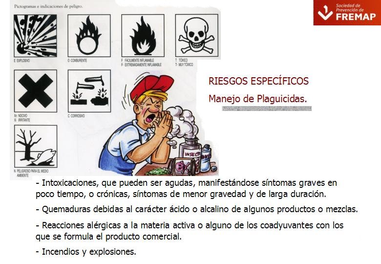 Diapositiva36