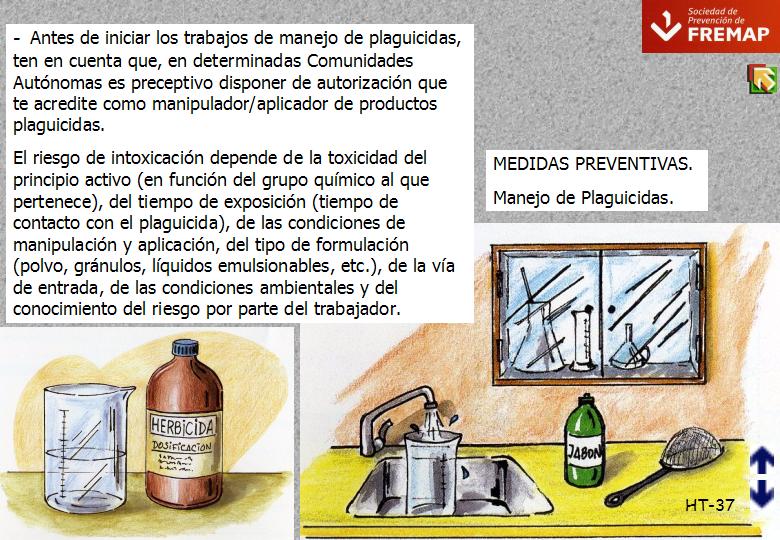 Diapositiva37