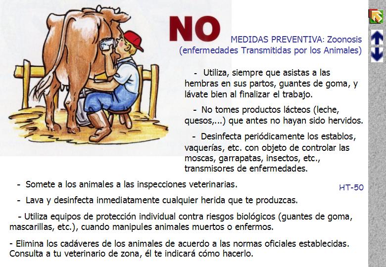 Diapositiva50