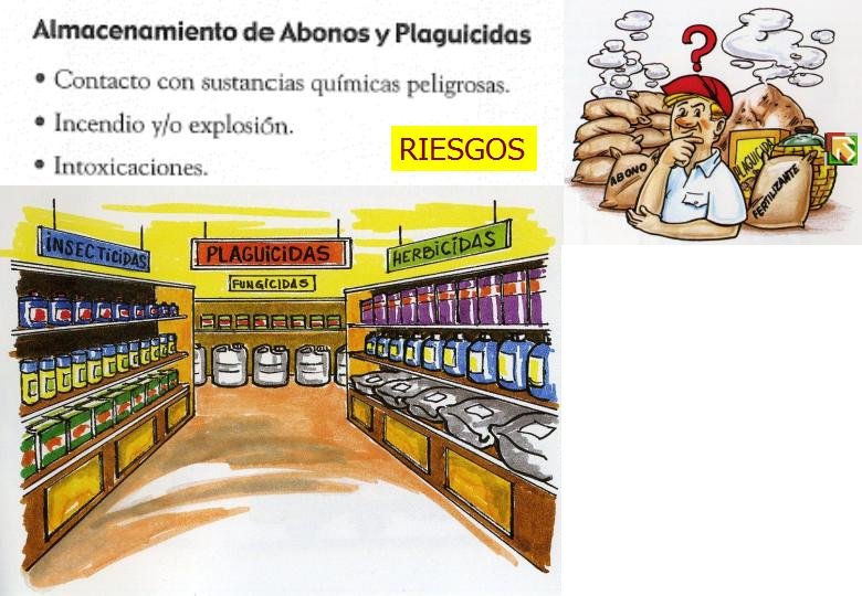 Diapositiva51