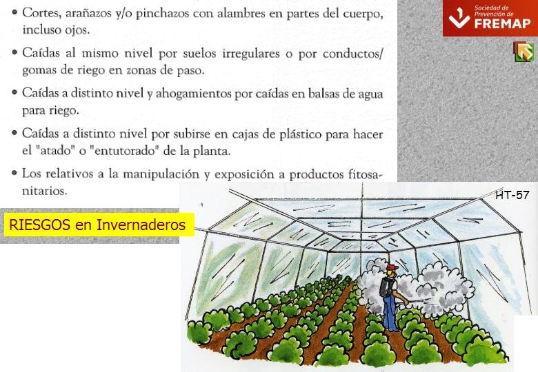 Diapositiva57