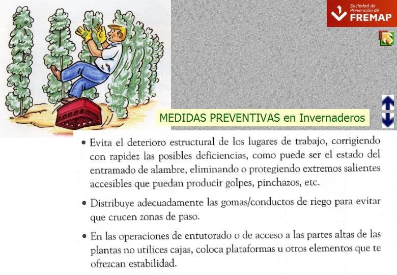 Diapositiva58