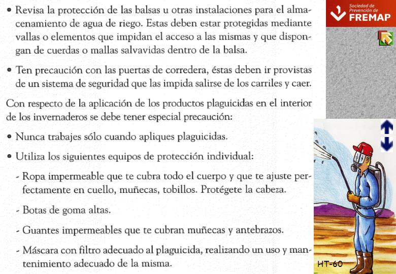 Diapositiva60