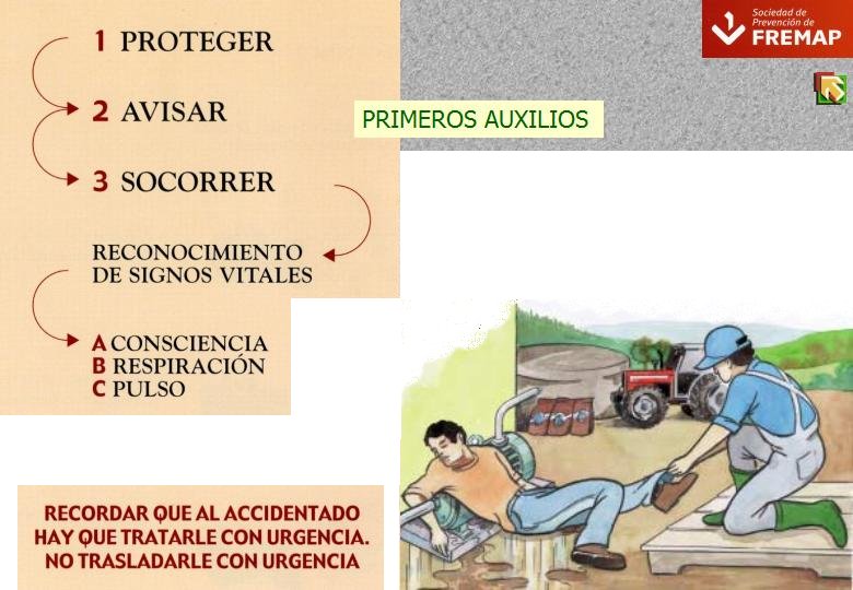 Diapositiva64