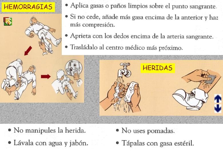 Diapositiva65