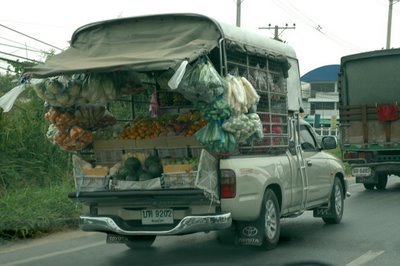 TRANSPORTE  ALIMENTOS ELABORACION