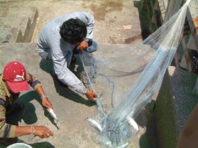 pescador  ALIMENTOS ELABORACION