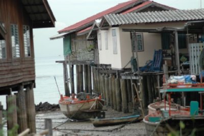 pesca  ALIMENTOS MERCADO