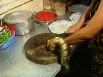 SERPIENTE  ALIMENTOS ELABORACION