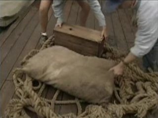 DESCARGA BARCO (2)  FOTOS IMAGENES