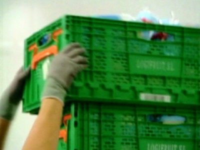 FRUTA · FOTOS IMAGENES