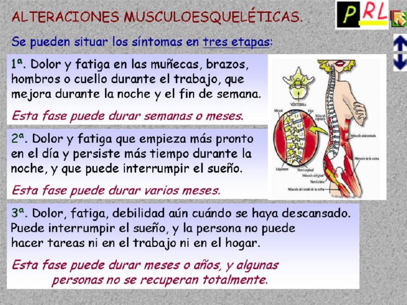 Diapositiva04