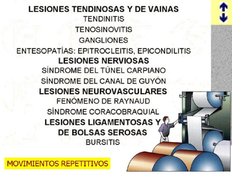 Diapositiva05