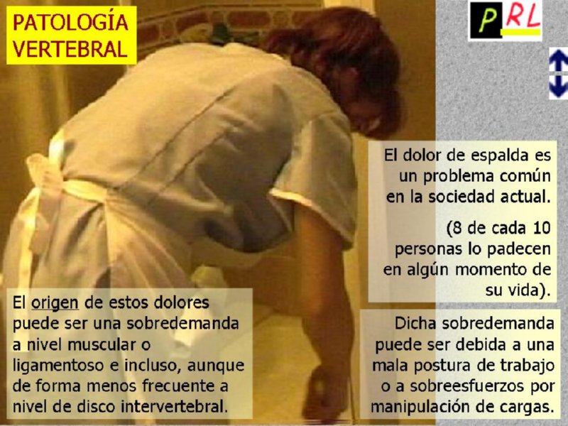 Diapositiva06