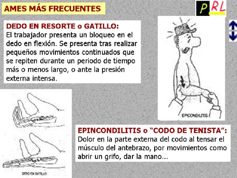 Diapositiva08