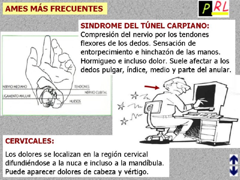 Diapositiva09