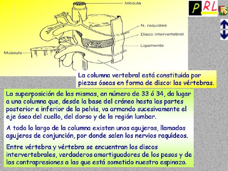 Diapositiva12