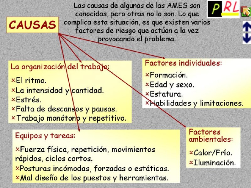 Diapositiva14