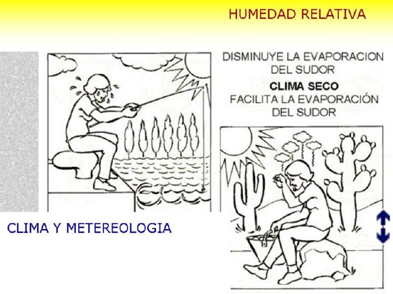 Diapositiva08