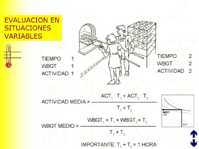 Diapositiva16