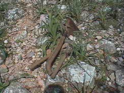 PIEDRA  CAMPO ESPAMICA