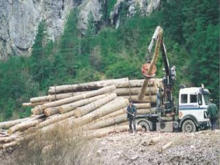 MADERA CAMPO MAQUINARIA
