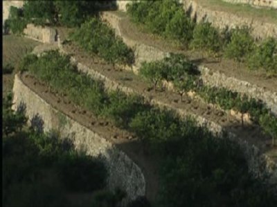 TERRAZAS  CAMPO APEROS