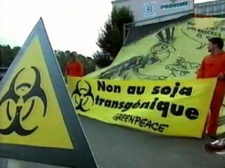 TRANSGENICO  CAMPO APEROS