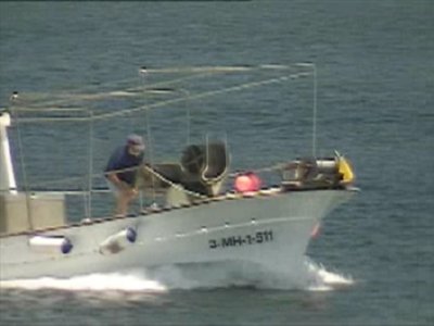 PESCA-  GANADO
