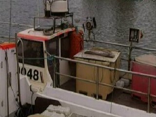 PESCA-000  GANADO