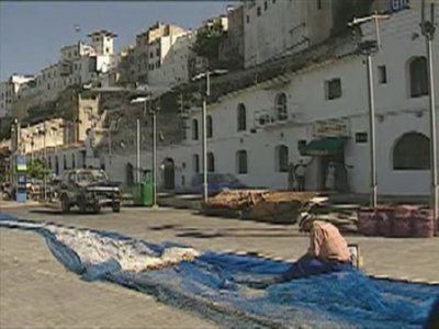PESCA00  GANADO