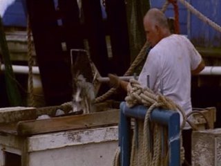 PESCA008  GANADO