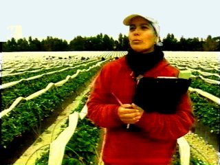 EMIGRACION  CAMPESINOS