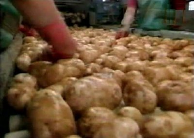 PATATAS  CAMPESINOS