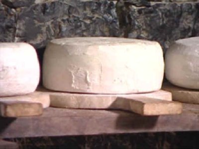 QUESO  MAQUINAS