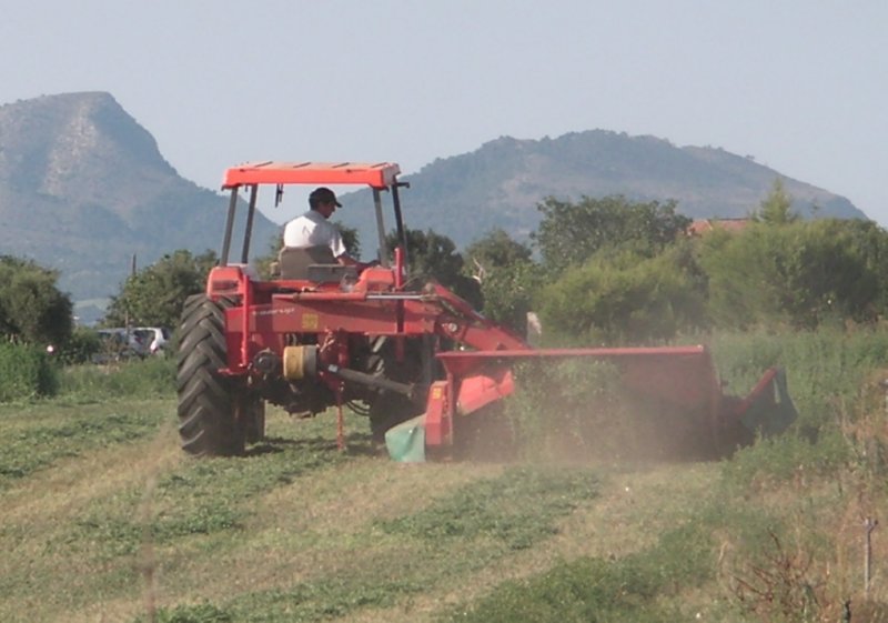 CAMPO  FOTOS IMAGENES