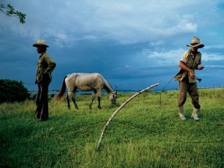 campesino