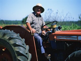 tractor-533