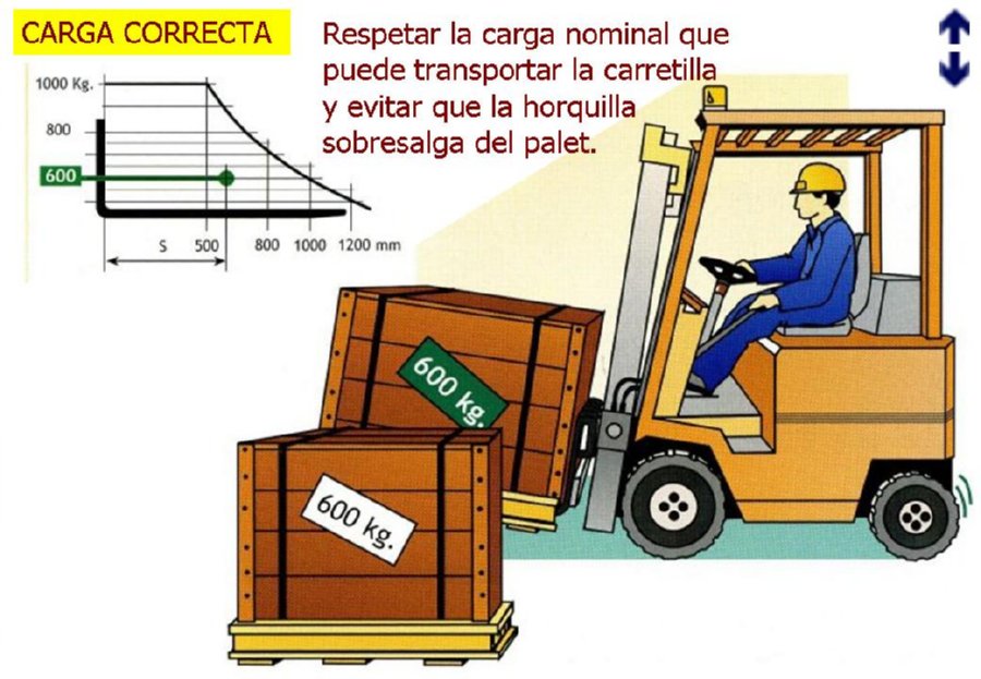 Diapositiva05