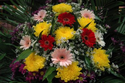 COMERCIO - FLORES