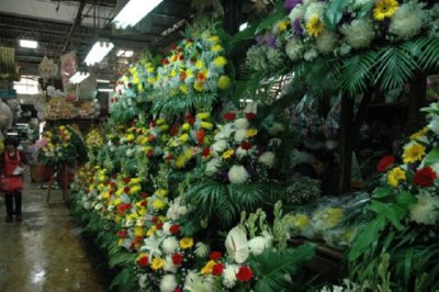 COMERCIO - FLORISTERIA