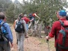 FACTORES DE RIESGO LABORAL - MEDIDAS PREVENTIVAS 0220