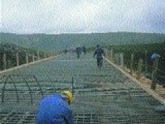 FACTORES DE RIESGO LABORAL - MEDIDAS PREVENTIVAS 0241