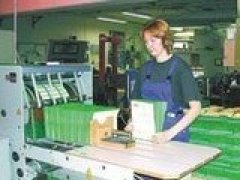 FACTORES DE RIESGO LABORAL - MEDIDAS PREVENTIVAS 0651