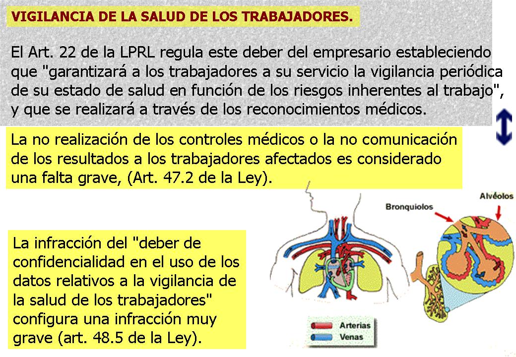 Diapositiva29