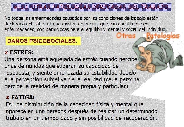 Diapositiva31