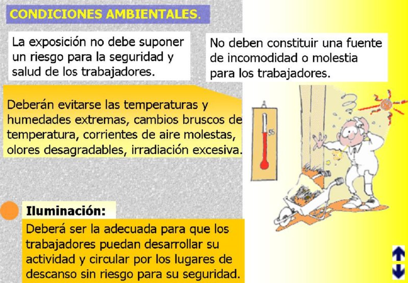 Diapositiva12