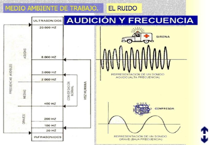 Diapositiva06